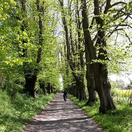 Ferienwohnung 1 - Rügen Findlinge Breege