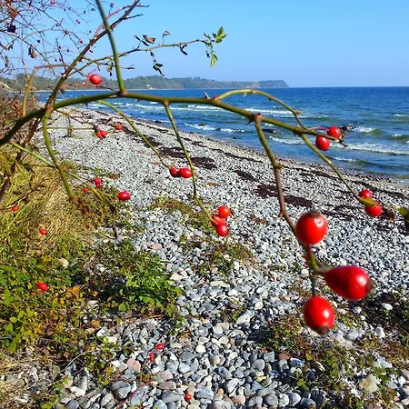 Apartment Ruegen Findling Breege