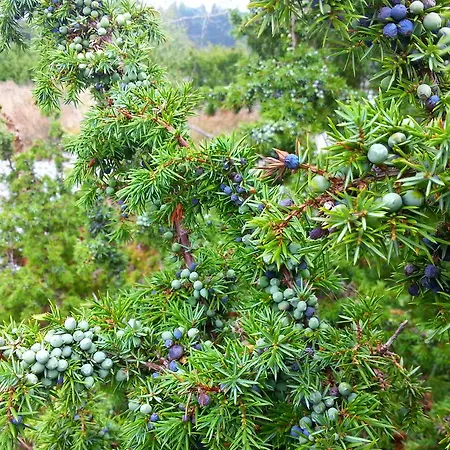 דירה Ruegen Findling