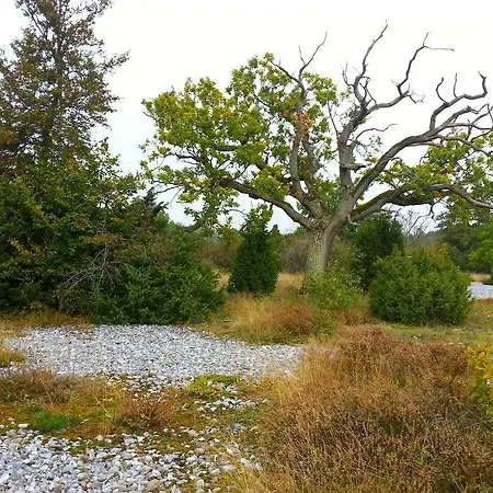 Ruegen Findling Apartment